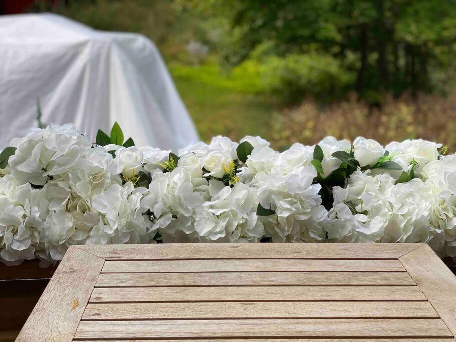 Cozy & Porches For Intimate Weddings Reunions *
