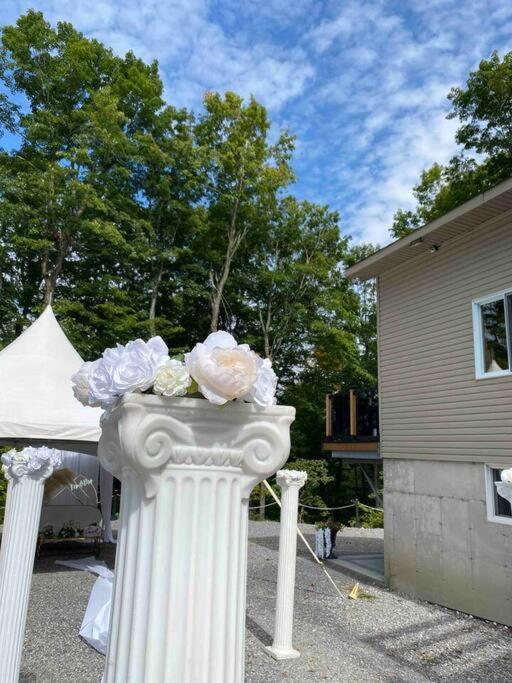 Villa Cozy & Porches For Intimate Weddings Reunions *